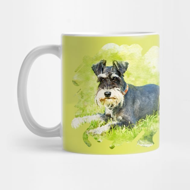 Miniature Schnauzer by Nartissima